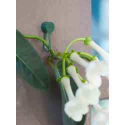 Nature plantenklem met klikverbinding groen - 15 stuks - afbeelding 2