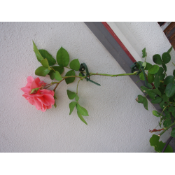 Nature plantenklem met rattenstaartsluiting Ø 25-45mm - 6 stuks - afbeelding 2