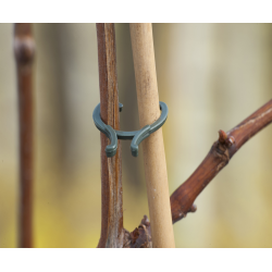 Nature plantenringen - Ø16mm, Ø20mm en Ø25mm - afbeelding 2