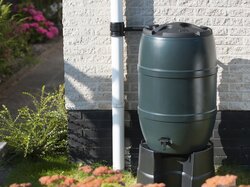 Nature regentonkraan (los) - afbeelding 3