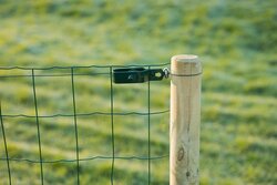 Nature spandraad groen geplastificeerd verzinkt staal - Ø 3mm x 10m - afbeelding 2