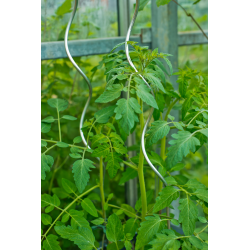 Nature Tomatensteun verzinkt - H150cm - Ø 6,8mm - afbeelding 3