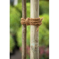 Nature touw kokos - 15m - afbeelding 3