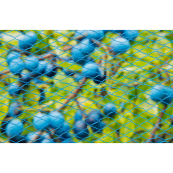 Nature - Tuinnet - Nano - Mazen 8x8mm - Blauw - 5 x 2m - afbeelding 2