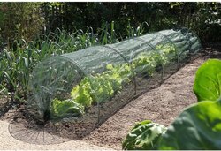 Nature Tuintunnelset 2 in 1 h45 x 60 x 300cm - Incl. Foliehoes 100µ en Anti-insectennet - afbeelding 4