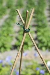 Nature verbindingsring voor plantensteun groen Ø11mm - 10 stuks - afbeelding 2