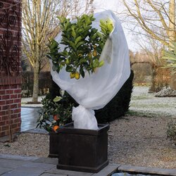 Nature winterafdekvlies 2 x 10m wit - afbeelding 5