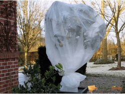 Nature winterafdekvlies 2 x 10m wit - afbeelding 4