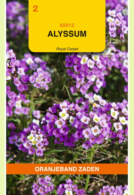 OBZ Alyssum Royal Carpet - afbeelding 1