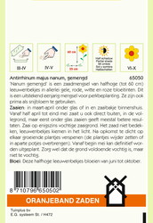 OBZ Antirrhinum, Leeuwenbekje, half-hoog gemengd - afbeelding 2