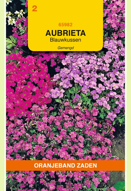 OBZ Aubrietia, Blauwkussen gemengd - afbeelding 1