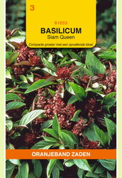 OBZ Basilicum Siam Queen - afbeelding 1