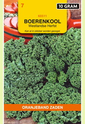 OBZ Boerenkool Westlandse Herfst (laat type), 10g - afbeelding 1