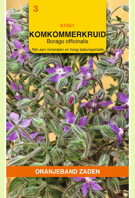 OBZ Borage Komkommerkruid - afbeelding 1