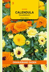 OBZ Calendula, Goudsbloem Fiesta Gitana - afbeelding 1