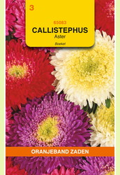 OBZ Callistephus, Aster Boeket gemengd - afbeelding 1