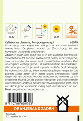 OBZ Callistephus, Aster Pompon gemengd - afbeelding 2