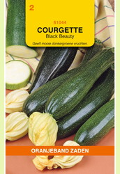 OBZ Courgette Black Beauty - afbeelding 1