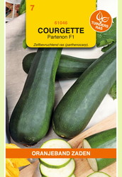 OBZ Courgette Partenon F1 - afbeelding 1