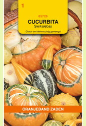 OBZ Cucurbita, Sierkalebas groot- en kleinvruchtig gemengd - afbeelding 1