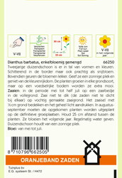 OBZ Dianthus, Duizendschoon enkelbloemig gemengd - afbeelding 2
