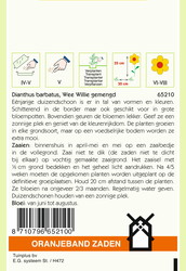 OBZ Dianthus, Duizendschoon Wee Willie gemengd - afbeelding 2