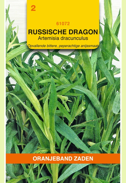 OBZ Dragon Russische - afbeelding 1