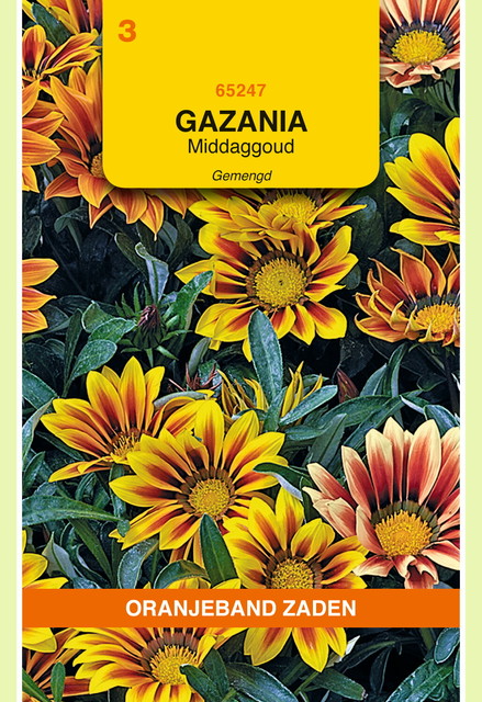 OBZ Gazania, Middaggoud gemengd - afbeelding 1