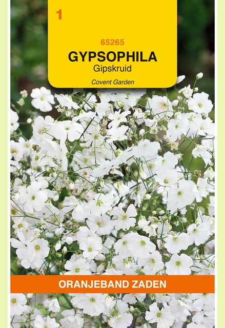 OBZ Gypsophila, Gipskruid Covent Garden - afbeelding 1
