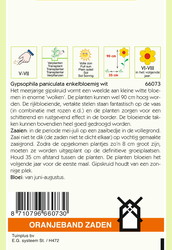 OBZ Gypsophila, Gipskruid enkelbloemig wit - afbeelding 2