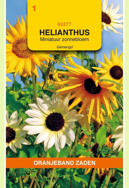 OBZ Helianthus, miniatuur Zonnebloem gemengd - afbeelding 1