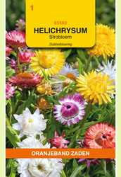 OBZ Helichrysum, Strobloem dubbelbloemig gemengd - afbeelding 1