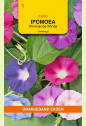 OBZ Ipomoea, Klimmende Winde, gemengd - afbeelding 1