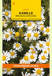 OBZ Kamille - afbeelding 1