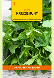 OBZ Kruizemunt - afbeelding 2