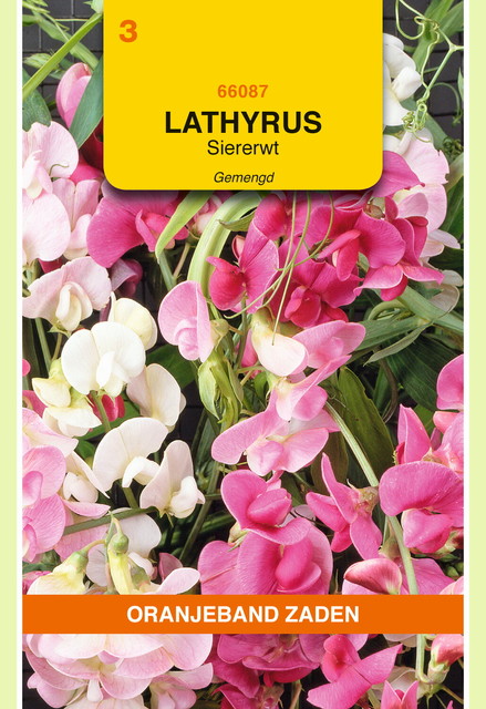 OBZ Lathyrus, Reuk- of Siererwt gemengd, overblijvend - afbeelding 1