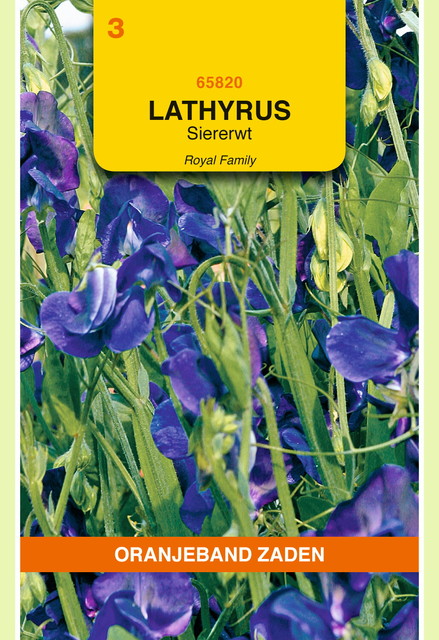 OBZ Lathyrus , Reuk- of siererwt Royal, blauw - afbeelding 1