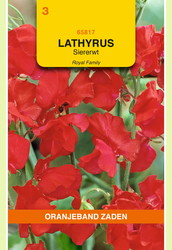 OBZ Lathyrus, Reuk- of siererwt Royal, rood - afbeelding 1