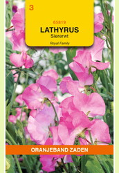 OBZ Lathyrus, Reuk- of siererwt Royal, roze - afbeelding 1