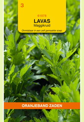 OBZ Lavas (maggiplant) - afbeelding 1