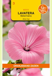 OBZ Lavatera, Bekermalva Silver Cup - afbeelding 1