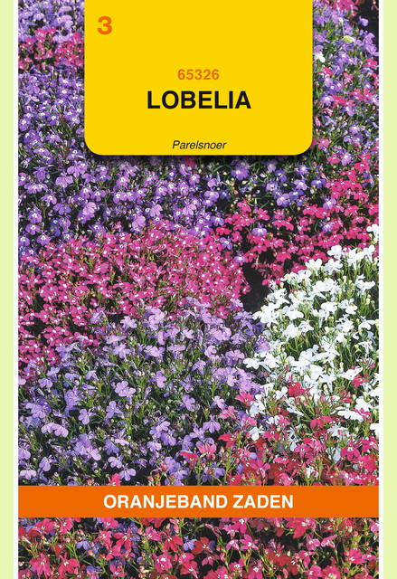 OBZ Lobelia Parelsnoer gemengd - afbeelding 1