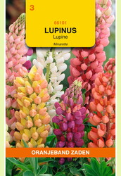 OBZ Lupinus, Lupine Minarette gemengd - afbeelding 1