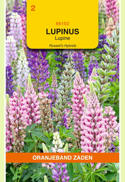 OBZ Lupinus, Lupine Russell's gemengd - afbeelding 1