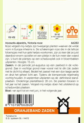 OBZ Myosotis, Vergeet-mij-niet Victoria, roze - afbeelding 2