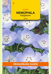 OBZ Nemophila, Haagbloem, blauw - afbeelding 1