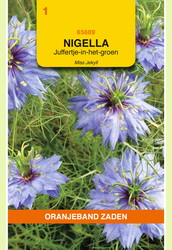 OBZ Nigella, Juffertje-in-het-groen Miss Jekyll - afbeelding 1