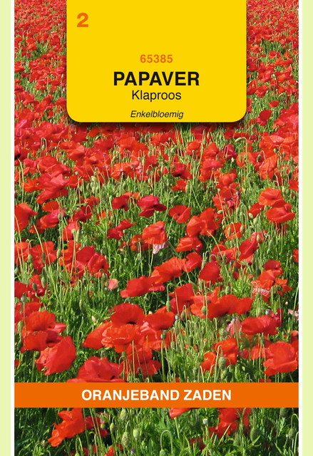 OBZ Papaver, Klaproos enkelbloemig (gewone) - afbeelding 1