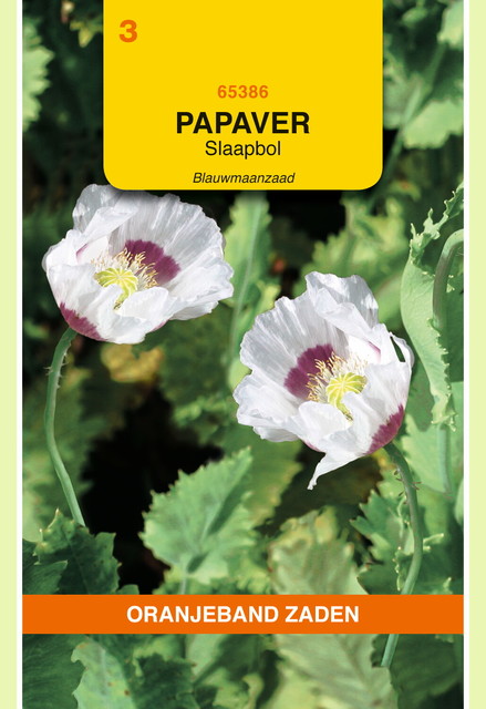 OBZ Papaver, Slaapbol Blauwmaanzaad - afbeelding 1