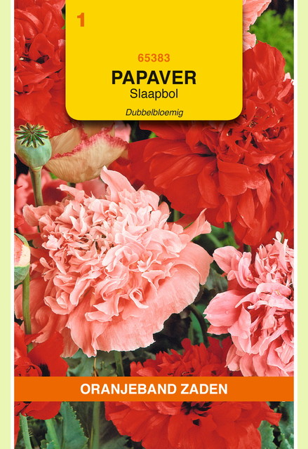 OBZ Papaver, Slaapbol dubbelbloemig gemengd - afbeelding 1